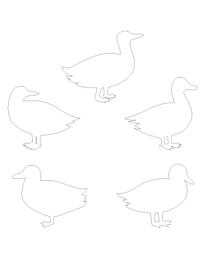 Duck Side View Patterns