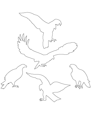 Eagle Patterns