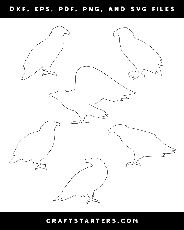 Eagle Side View Patterns