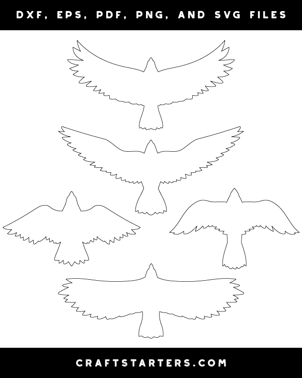 Eagle Top View Patterns