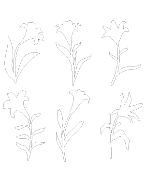 Easter Lily Patterns