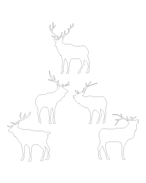Elk Patterns