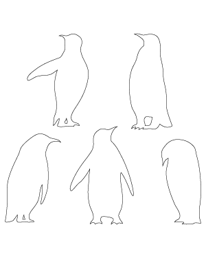Emperor Penguin Patterns