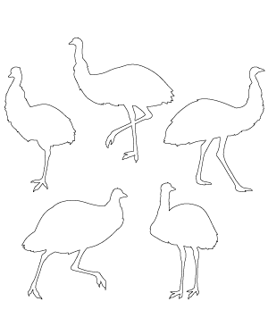 Emu Patterns