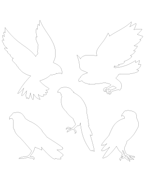 Falcon Patterns