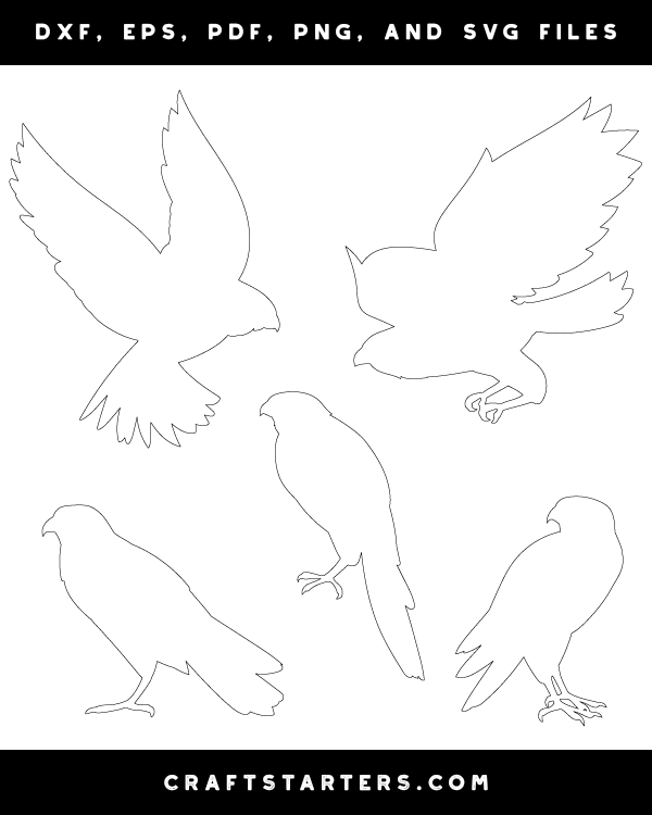 Falcon Patterns
