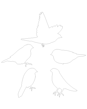 Finch Patterns