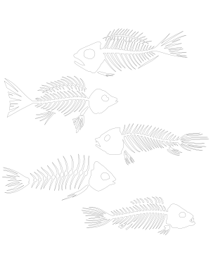 Fish Skeleton Patterns