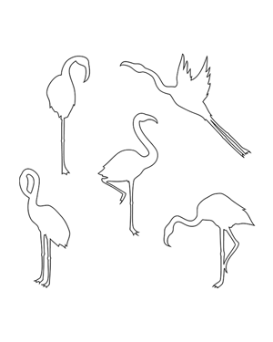 Flamingo Patterns