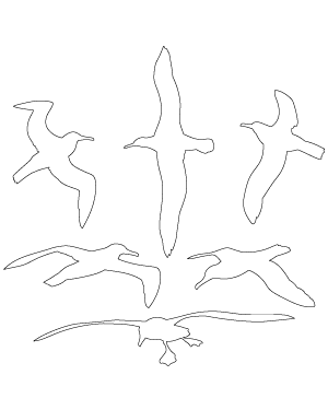 Flying Albatross Patterns