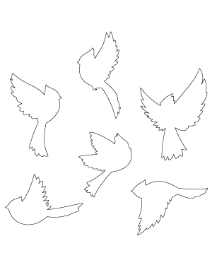 Flying Cardinal Patterns