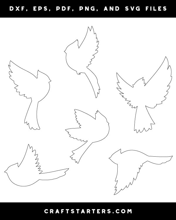 Flying Cardinal Patterns