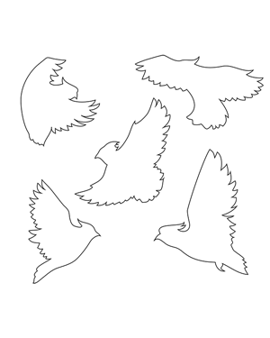Flying Cockatoo Patterns