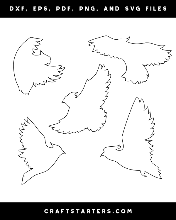 Flying Cockatoo Patterns