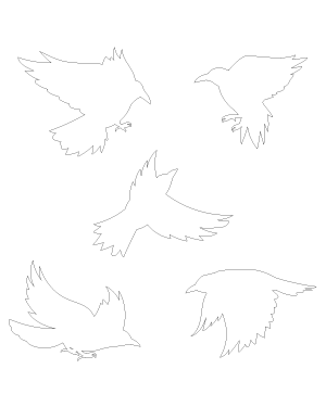 Flying Crow Patterns