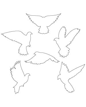 Flying Dove Patterns