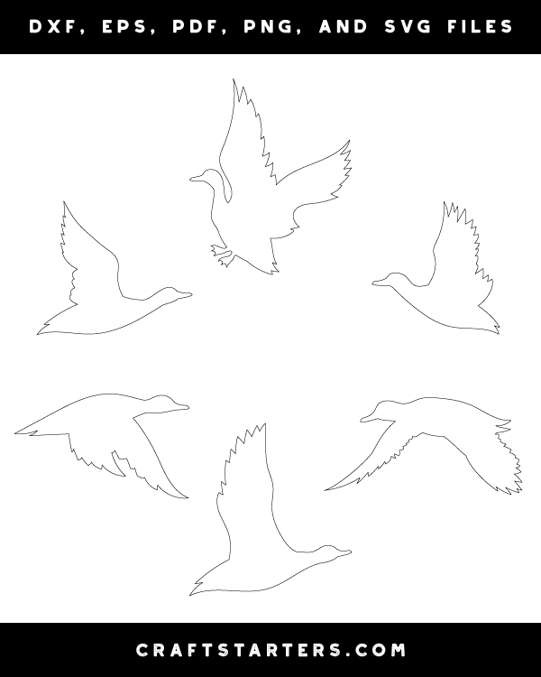 Flying Duck Patterns