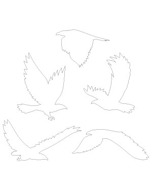 Flying Eagle Patterns