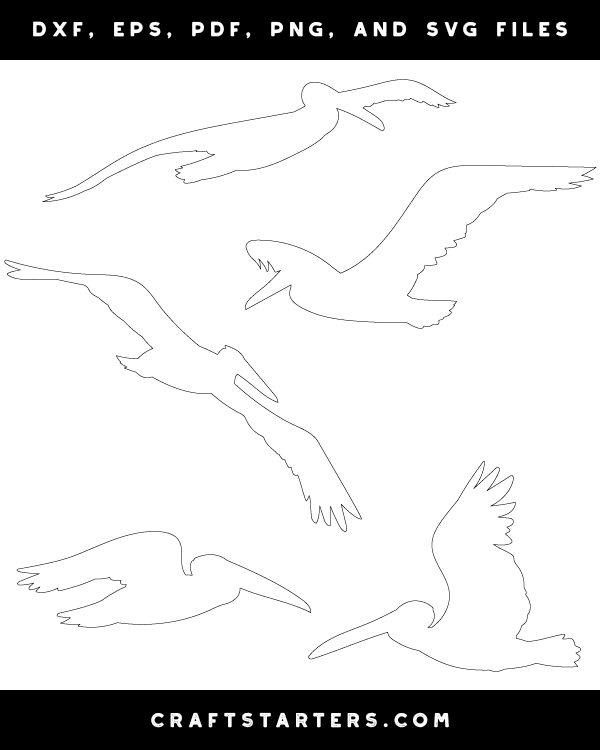 Flying Pelican Patterns