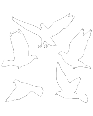 Flying Pigeon Patterns