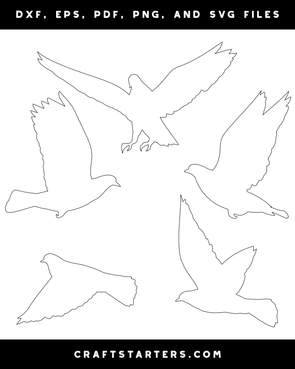 Flying Pigeon Patterns