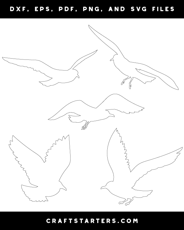 Flying Seagull Patterns