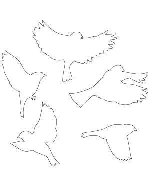 Flying Sparrow Patterns
