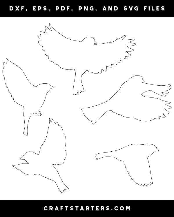 Flying Sparrow Patterns