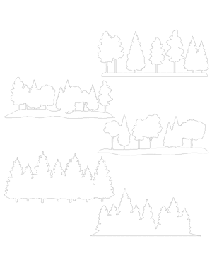 Forest Patterns