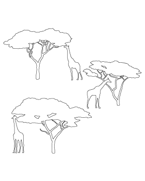 Giraffe and Tree Patterns