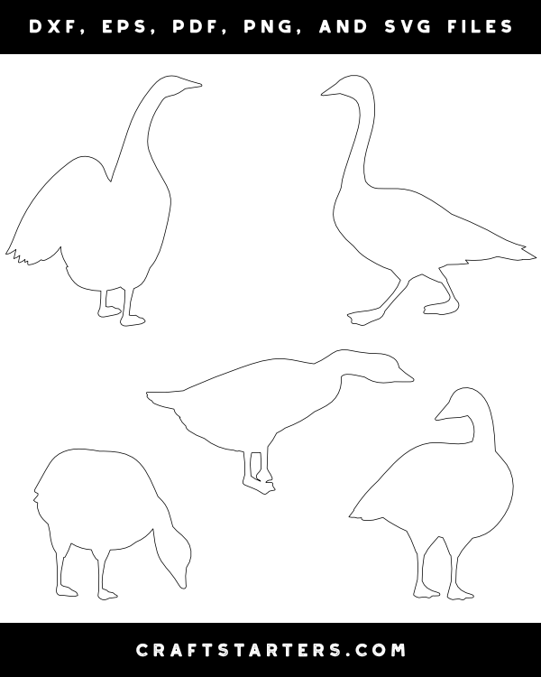 Goose Patterns