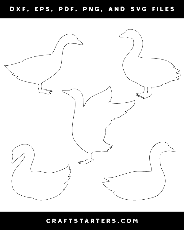 Goose Side View Patterns