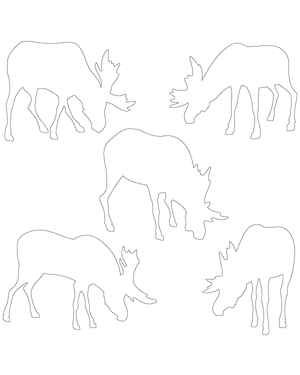 Grazing Moose Patterns