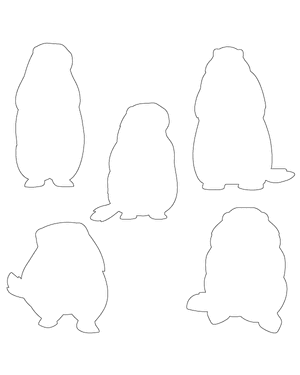 Groundhog Front View Patterns