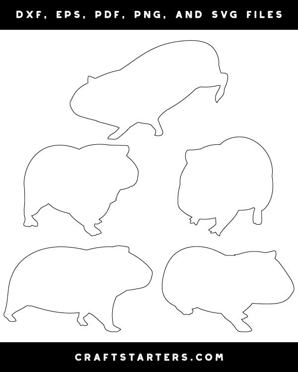 Guinea Pig Patterns