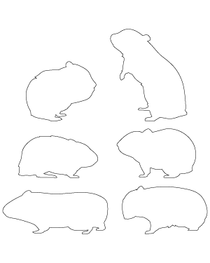 Hamster Side View Patterns