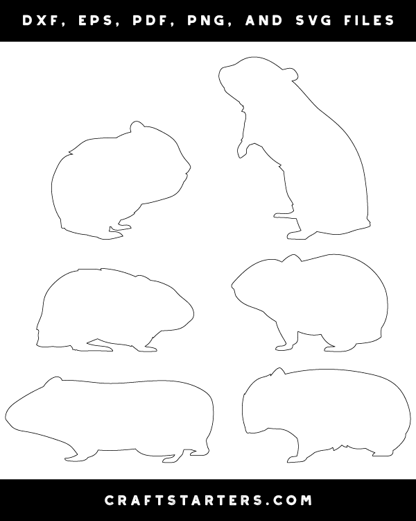 Hamster Side View Patterns
