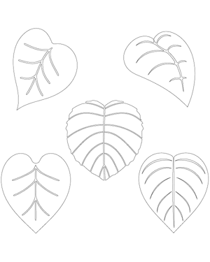 Heart-Shaped Leaf Patterns