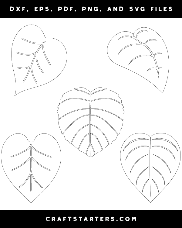 Heart-Shaped Leaf Patterns