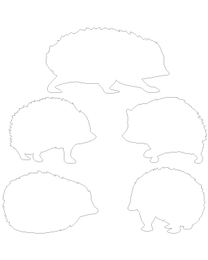 Hedgehog Patterns