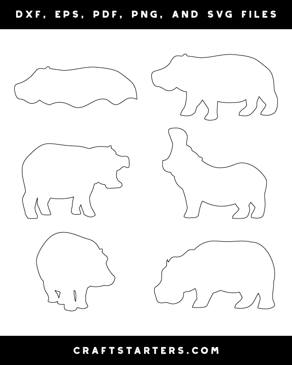 Hippo Patterns