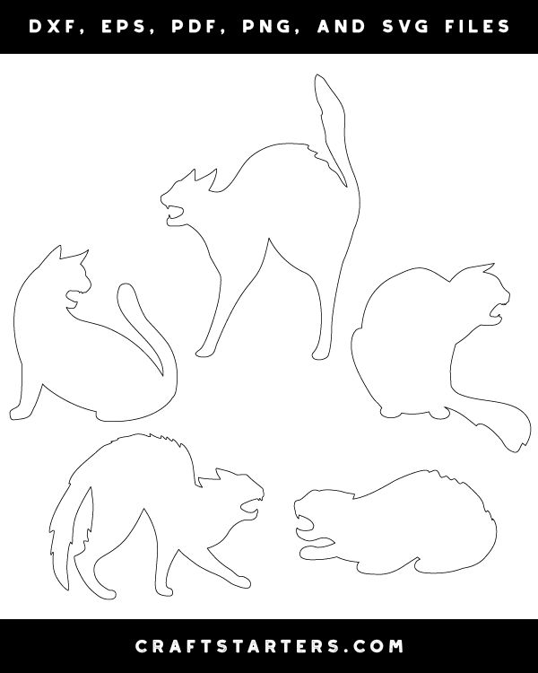 Hissing Cat Patterns