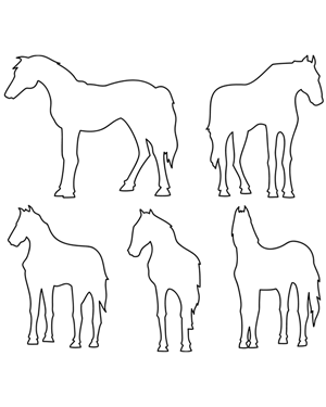 Horse Patterns