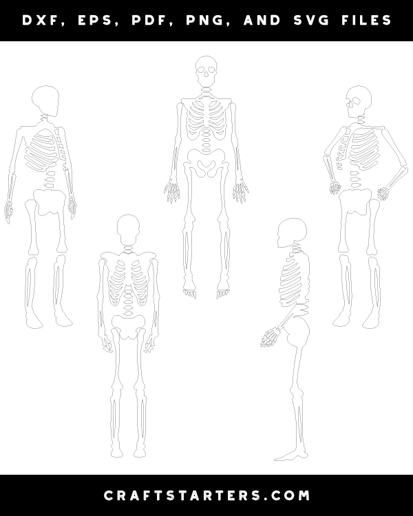 Human Skeleton Patterns