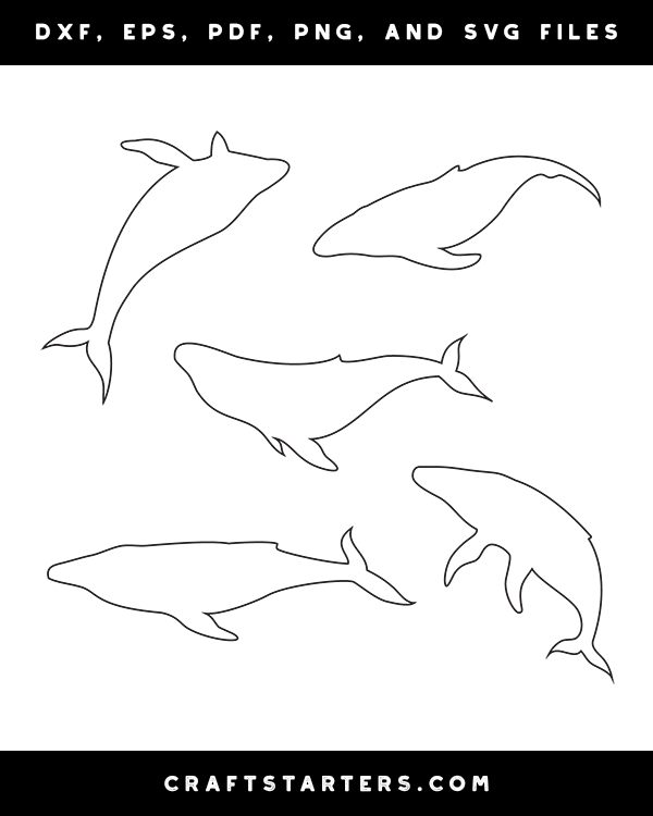 Humpback Whale Outline Patterns: DFX, EPS, PDF, PNG, and SVG Cut Files