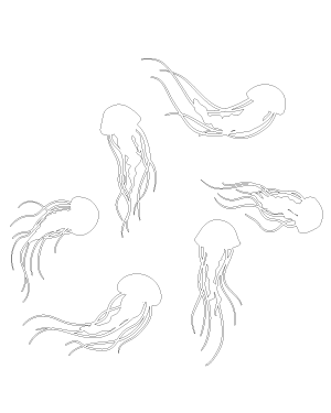 Jellyfish Patterns