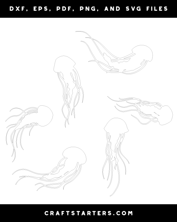 Jellyfish Patterns