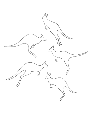 Jumping Kangaroo Patterns