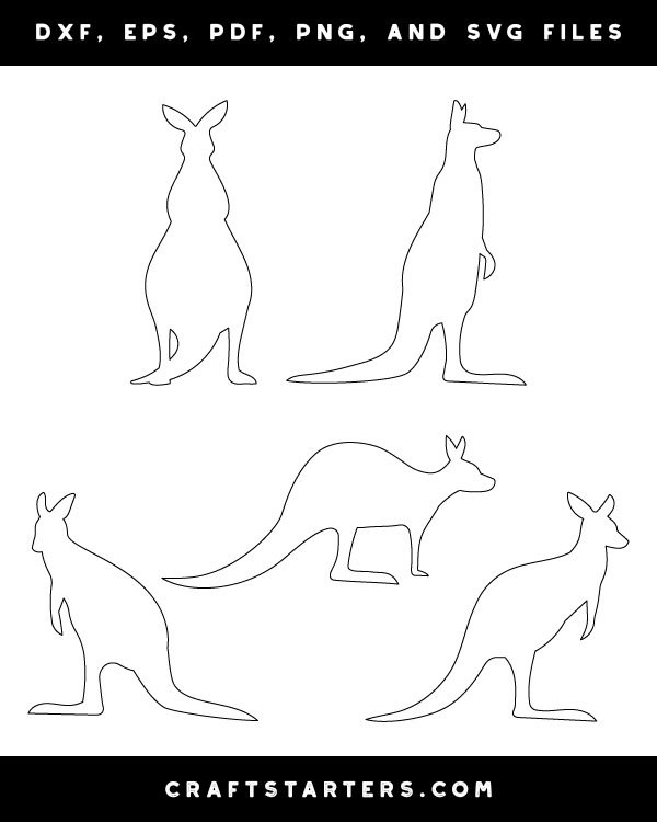 Kangaroo Patterns