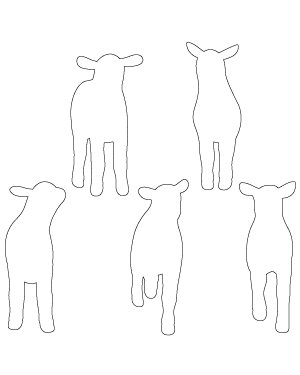 Lamb Front View Patterns